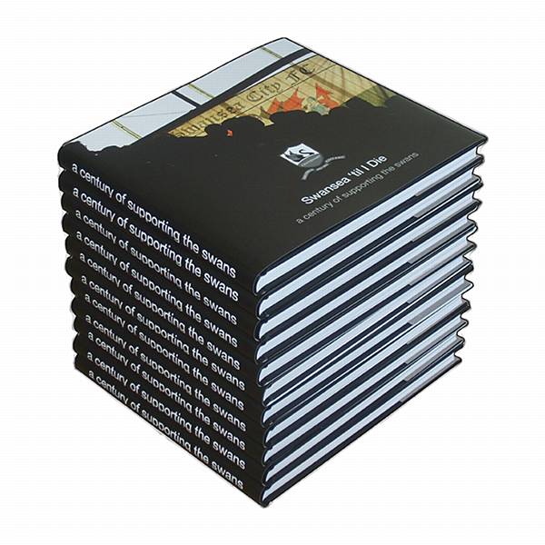 Forza Swansea | A Swansea City Blog: Swansea City 12/13 Kit Review