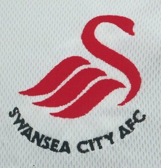 swanseacitynow crest now